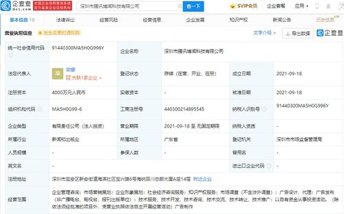 專業(yè)咨詢策劃服務 助力企業(yè)高效決策與持續(xù)發(fā)展