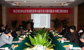 東興區(qū)大沖山開發(fā)項目中期匯報交流會 專業(yè)設(shè)計服務(wù)賦能城市未來